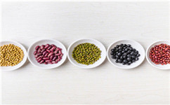 2021�꽡������ʦ����֤�鿼�Բ������ܶ�ѡģ���⣨����